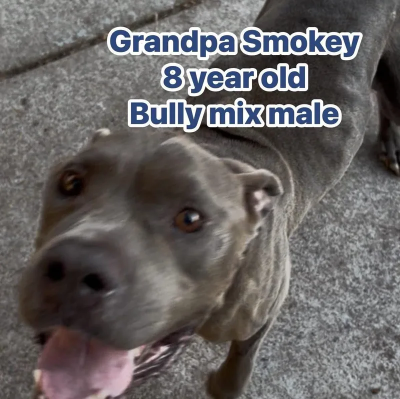 Grandpa Smokey thumbnail 5
