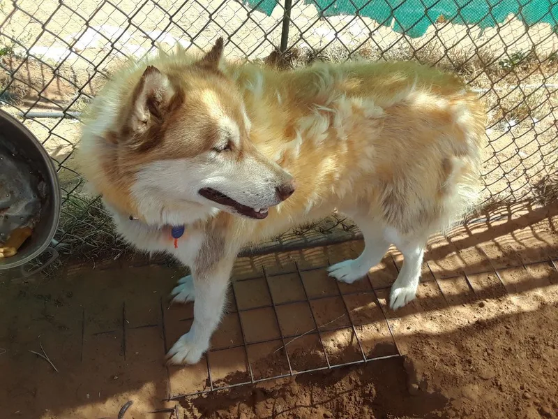 Sundance thumbnail 2