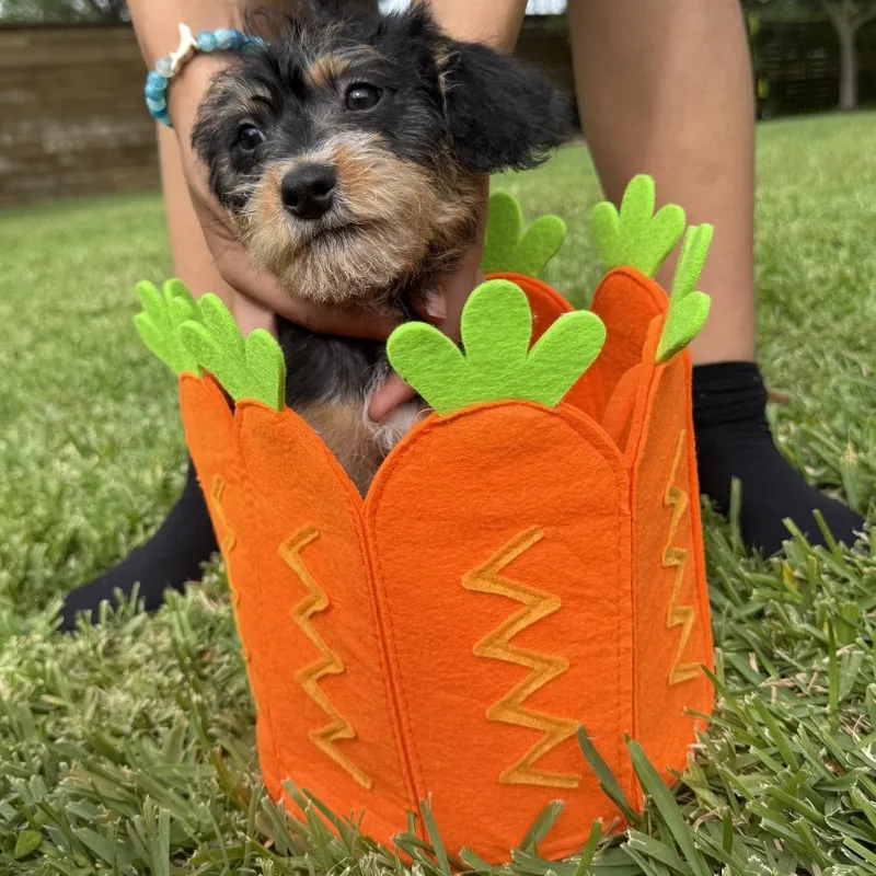 Cocobean thumbnail 4