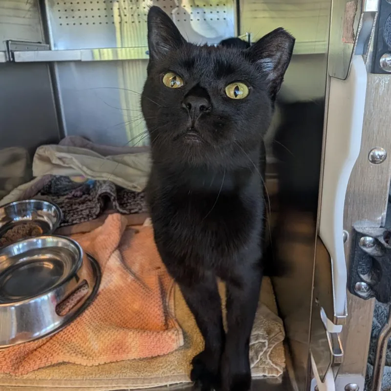 Zackarina Bagans thumbnail 2