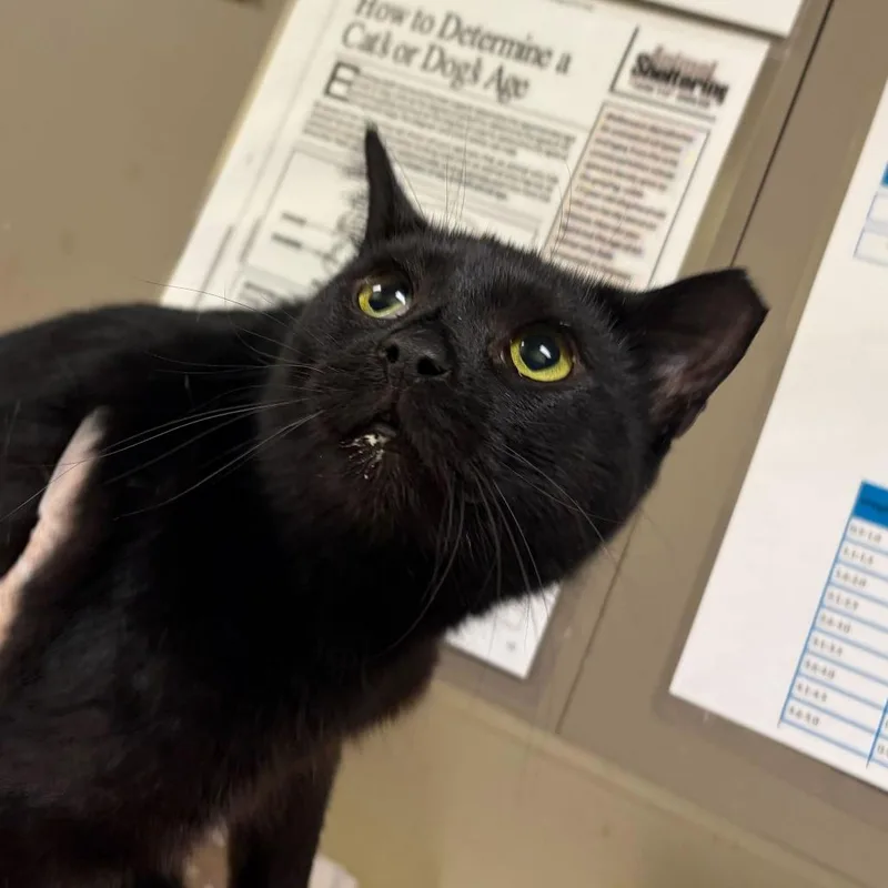 Zackarina Bagans thumbnail 4