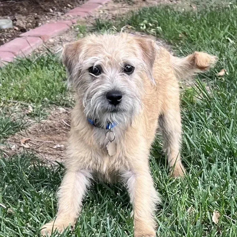 Milo
