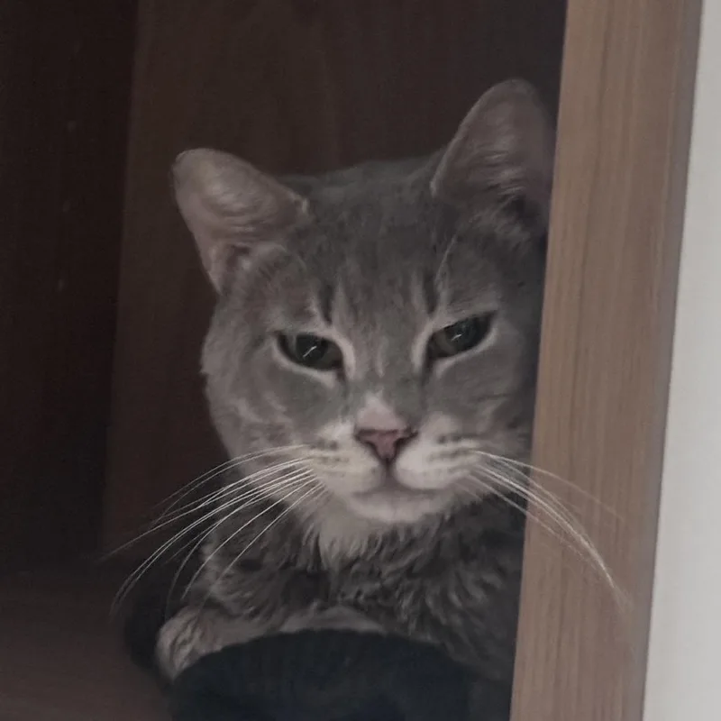 Popeye's thumbnail 5