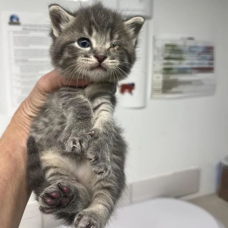 Tropical Storm