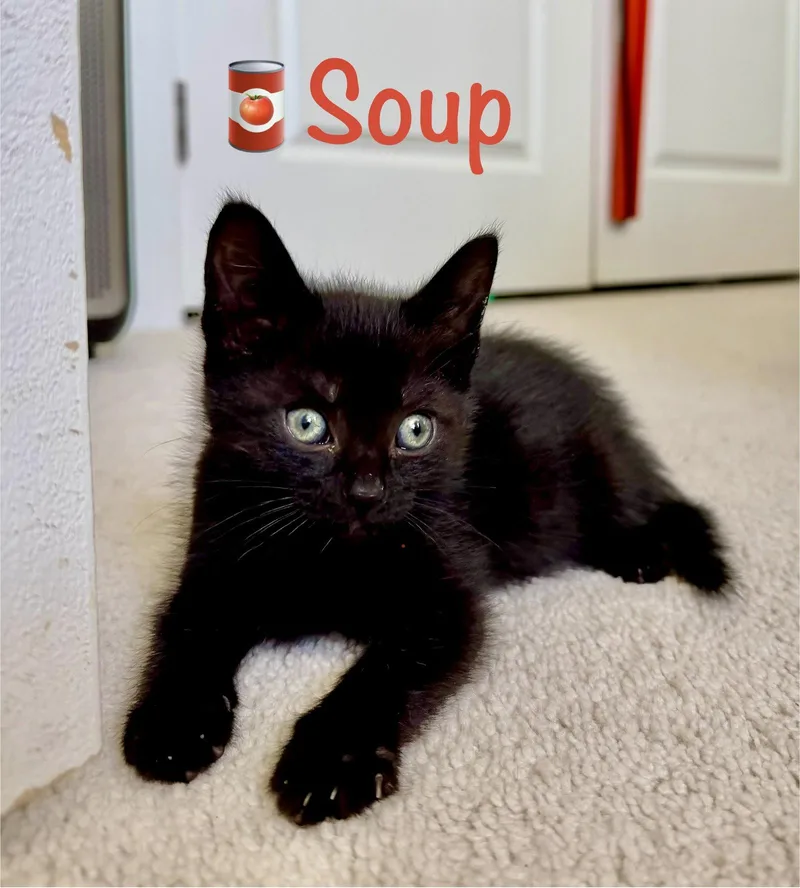 Soup thumbnail 3
