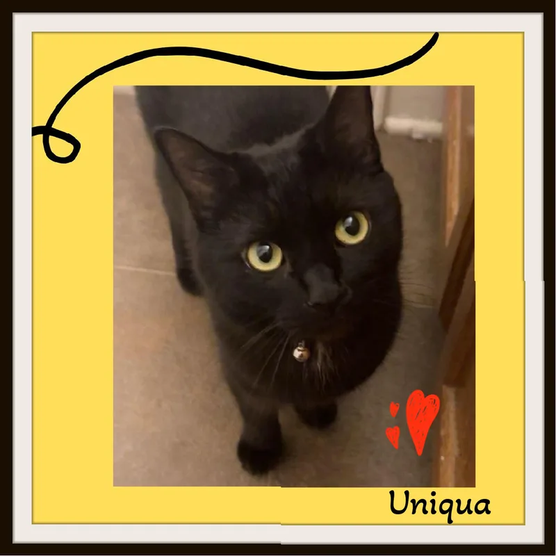 Uniqua  My Dad thumbnail 2