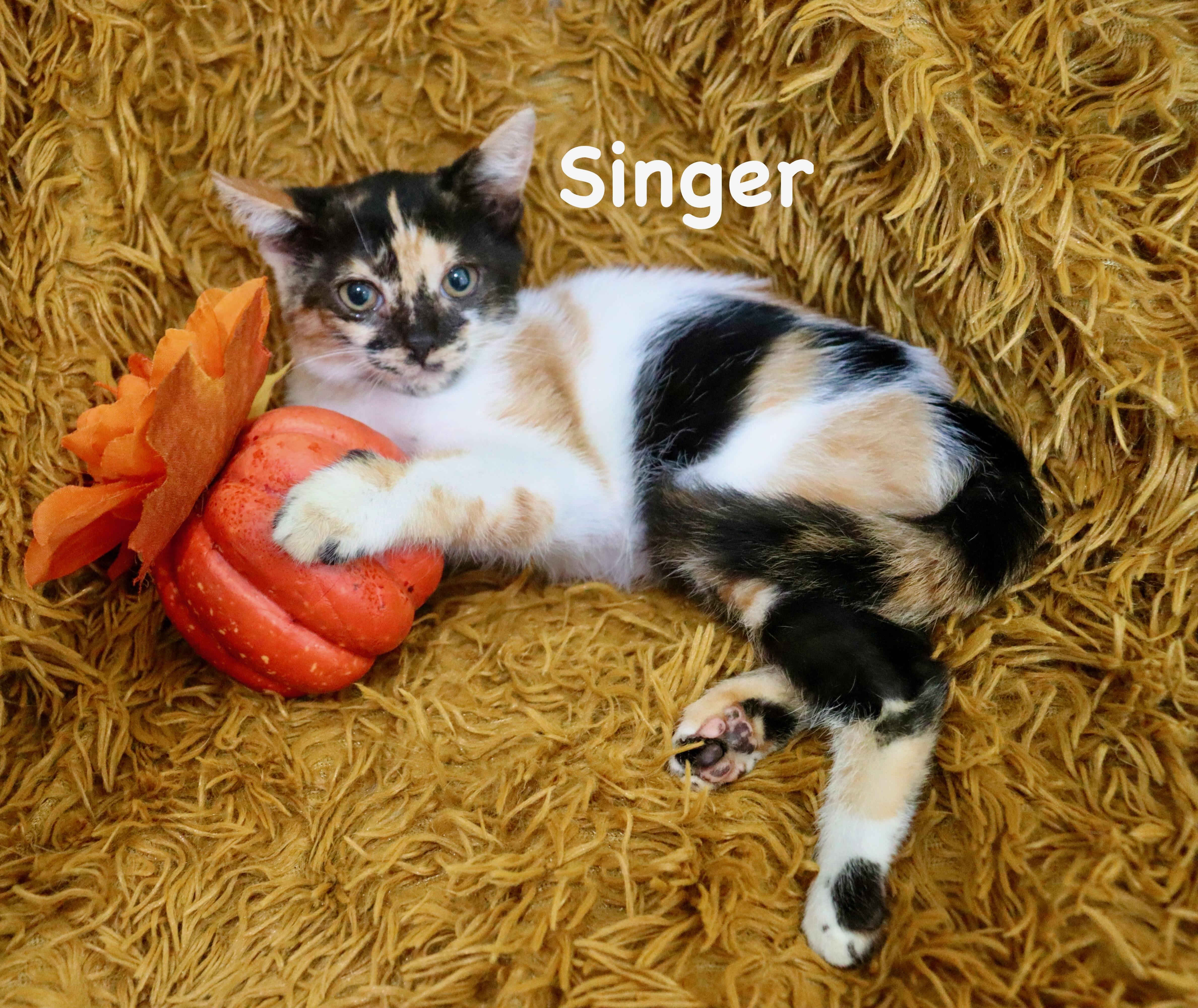 Singer thumbnail 3