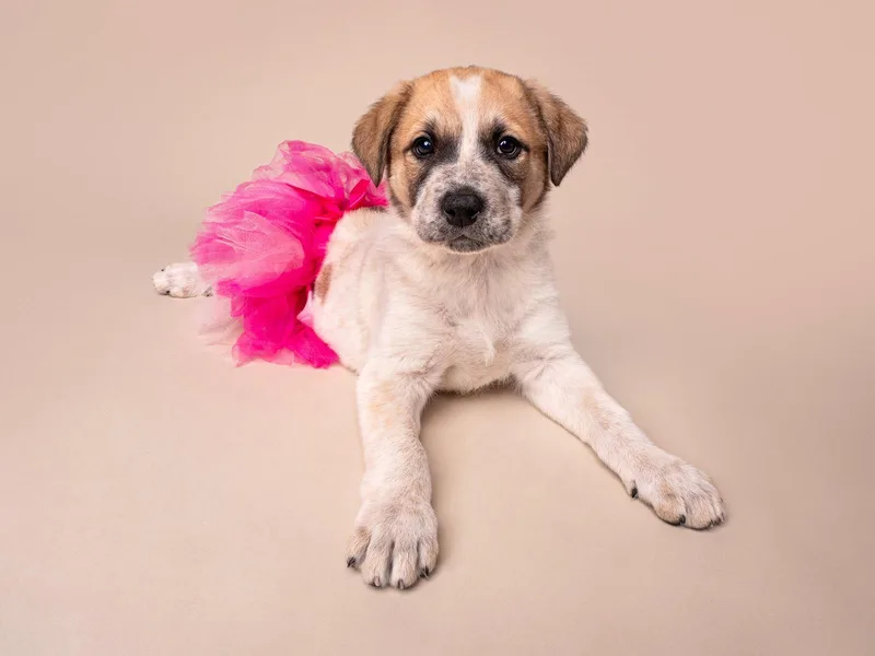 Crime: Misdemeanor thumbnail 2