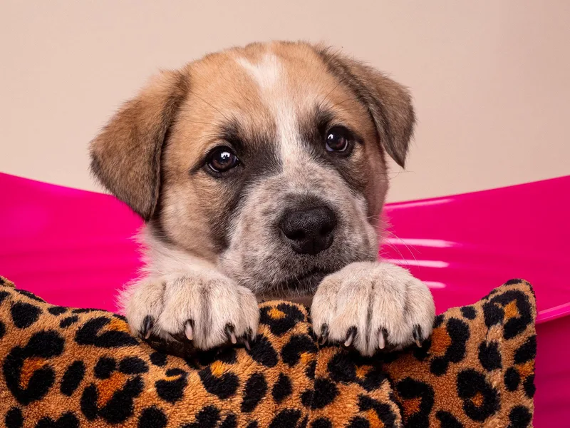 Crime: Misdemeanor thumbnail 3