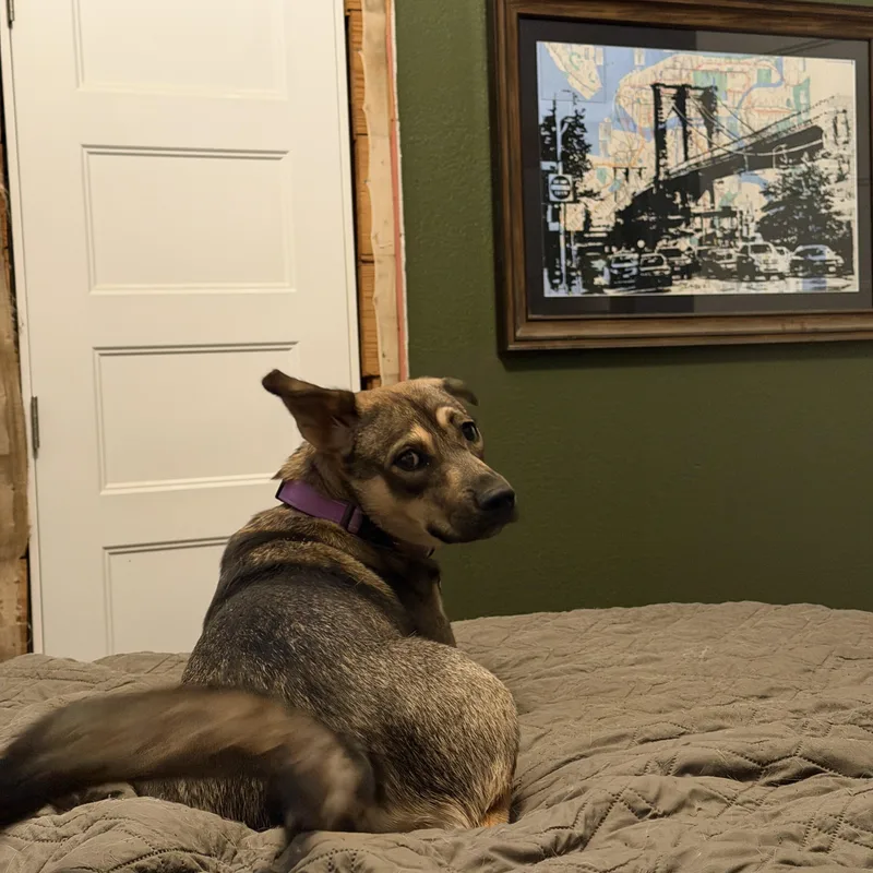 Maggie thumbnail 3