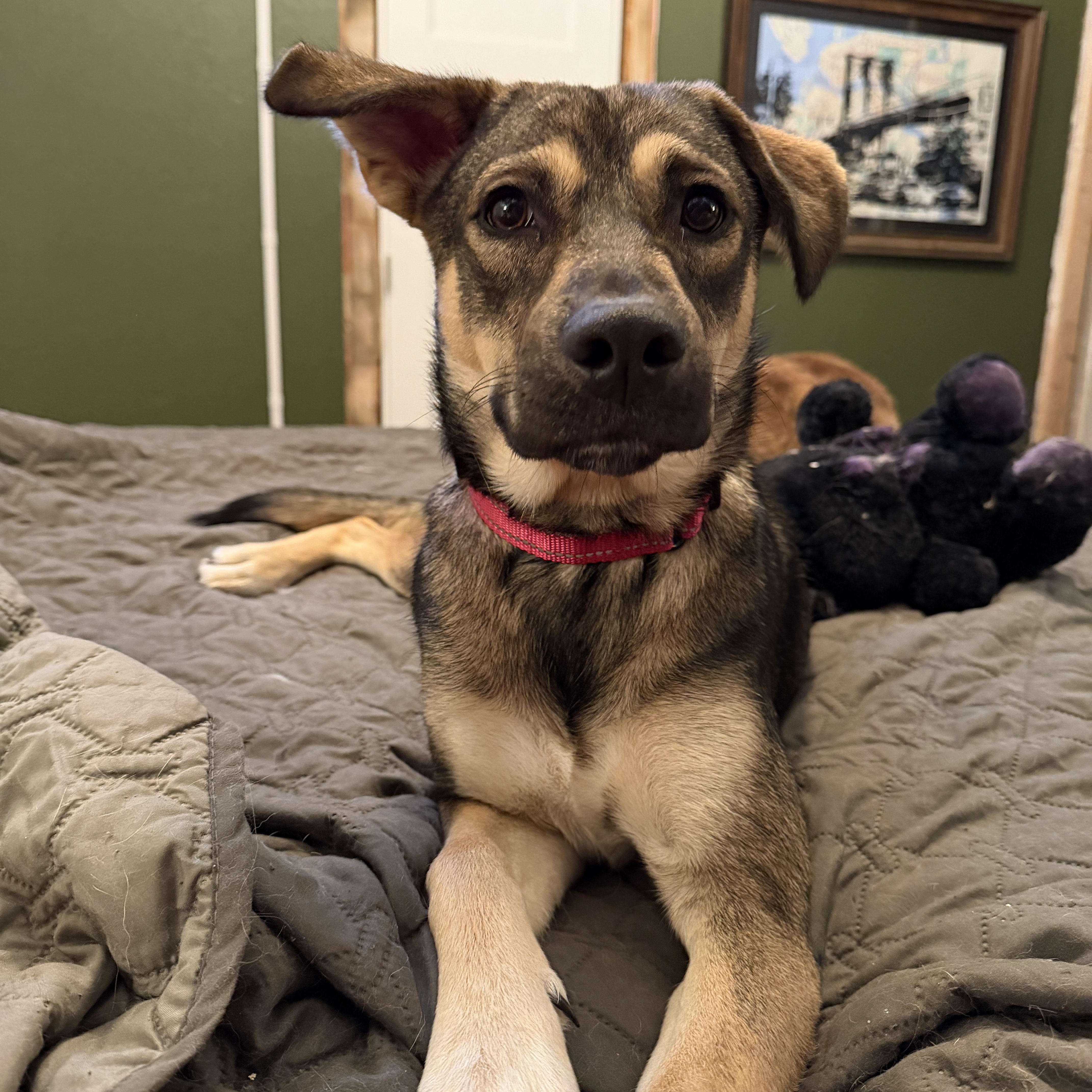 Maggie thumbnail 5