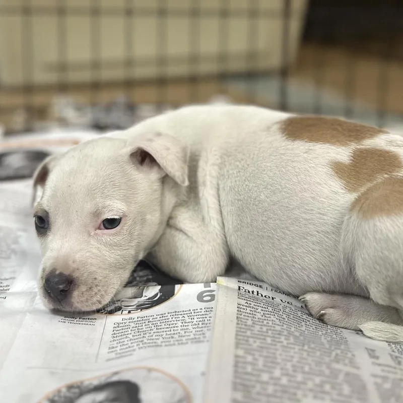 Conneticut thumbnail 3