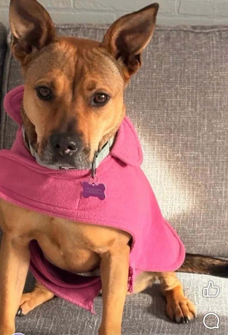 Sierra Is In Maine thumbnail 2