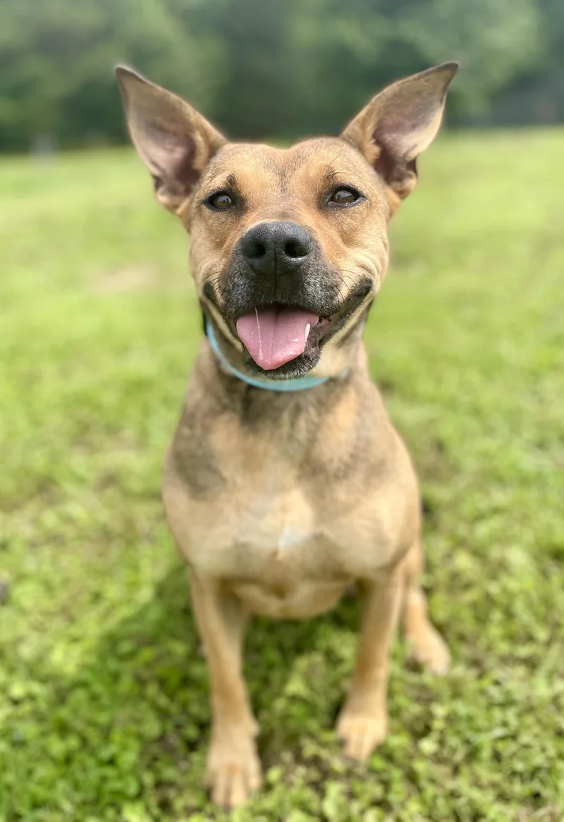 Sierra Is In Maine thumbnail 4