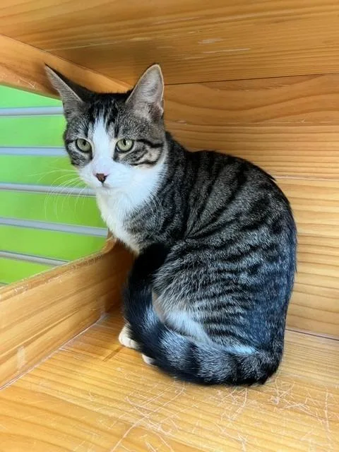 Mo