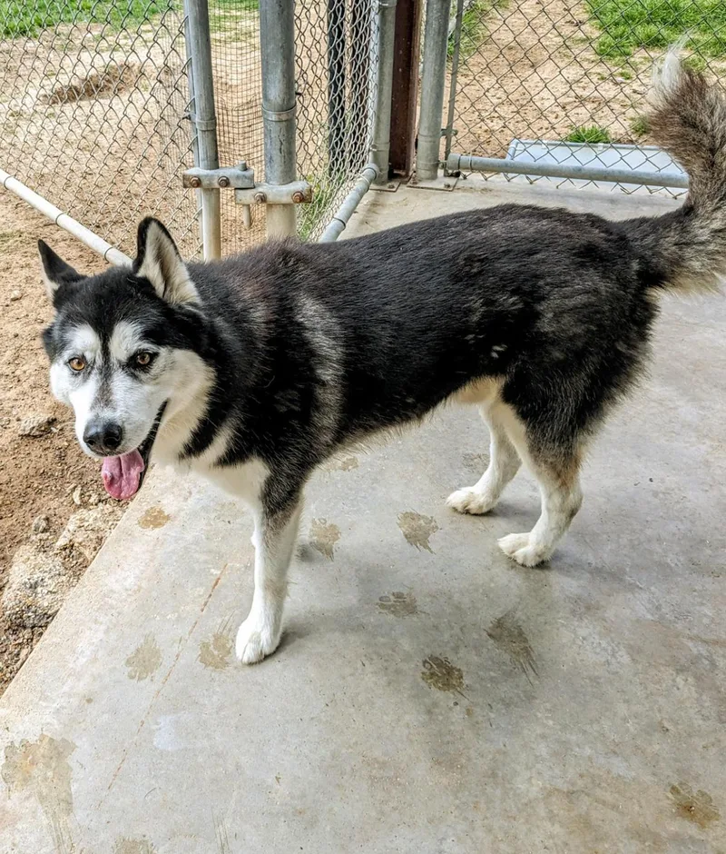 Hercules thumbnail 2