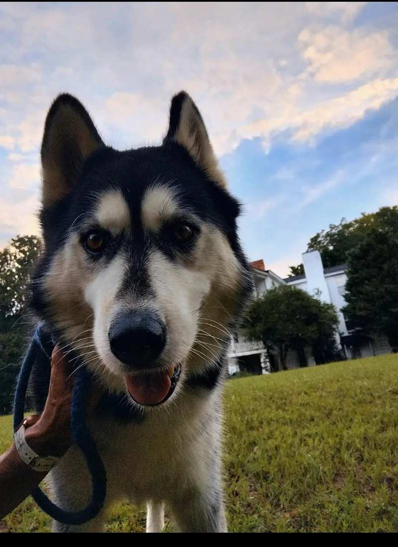 Hercules thumbnail 6