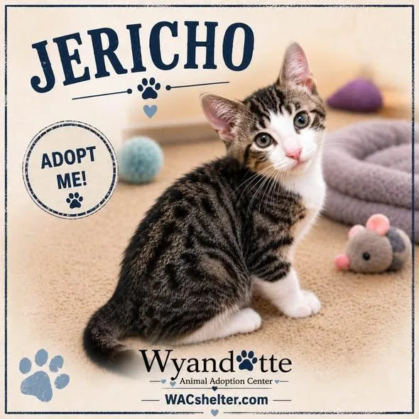 Jericho thumbnail 2