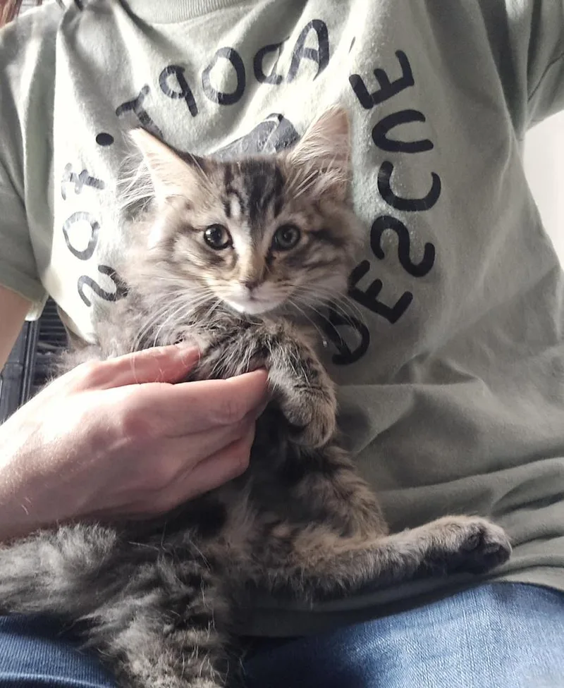 Ralphie thumbnail 3