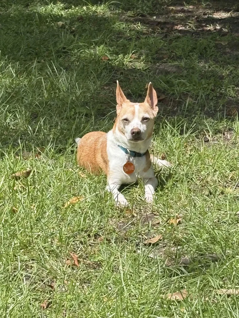 Waldo