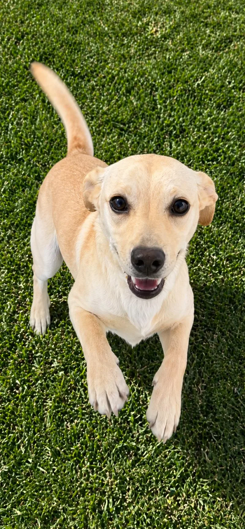 Celestia thumbnail 5