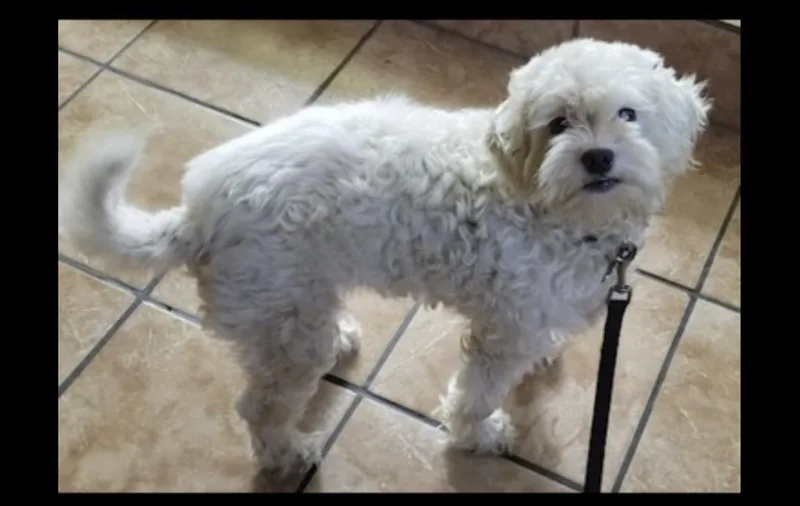 Sierra  The Sweetest thumbnail 3