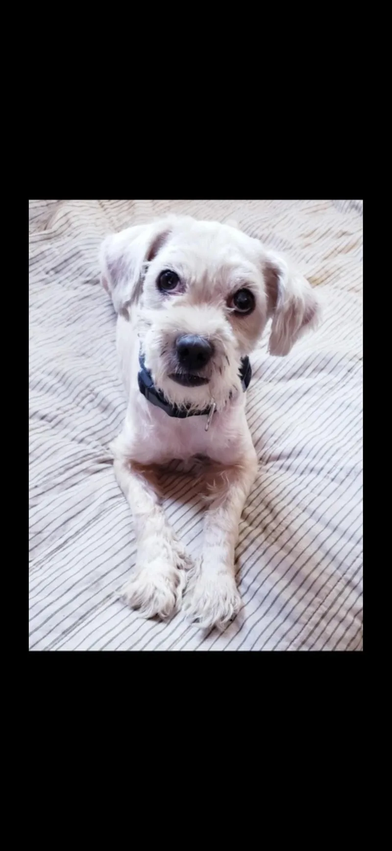 Sierra  The Sweetest thumbnail 5