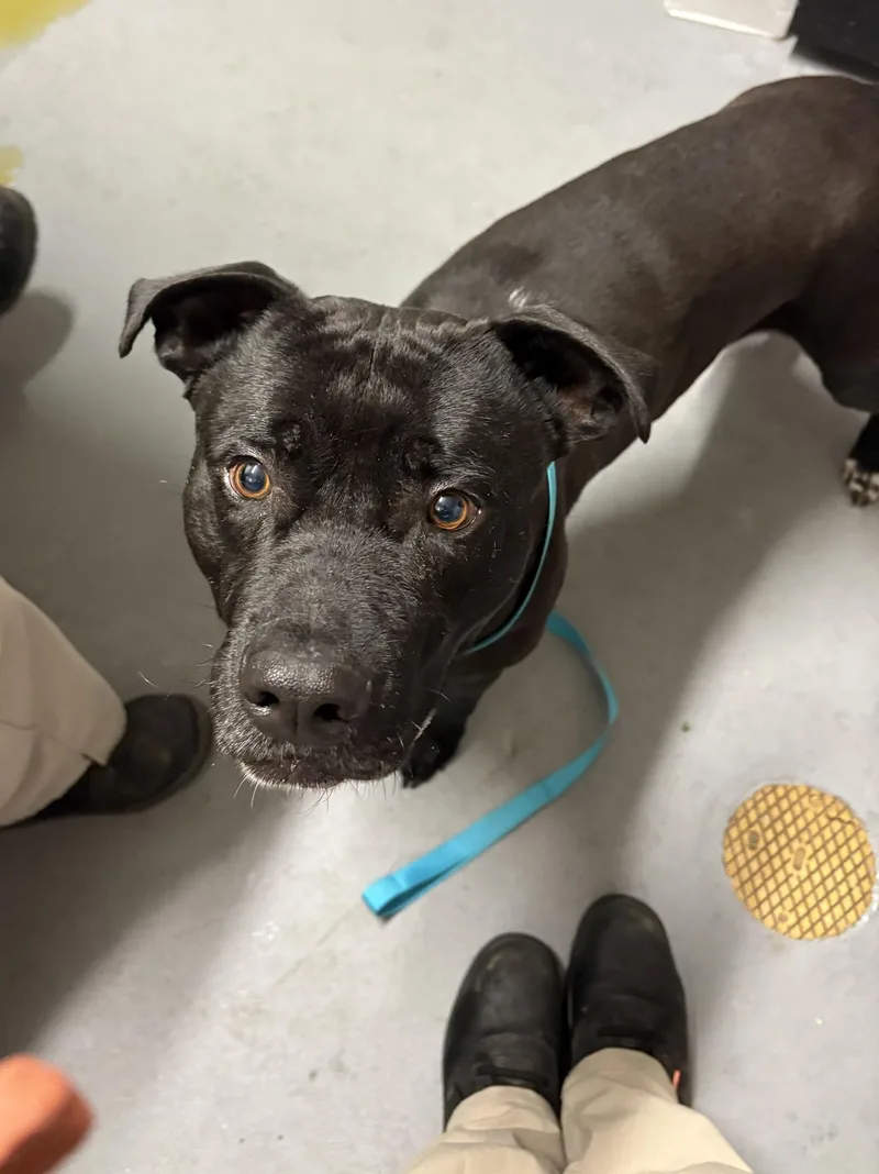 Marrakesh thumbnail 2