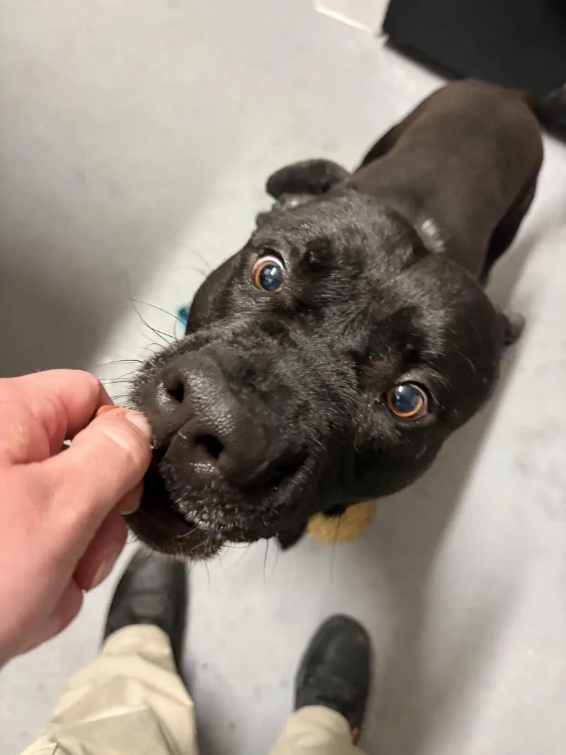 Marrakesh thumbnail 3