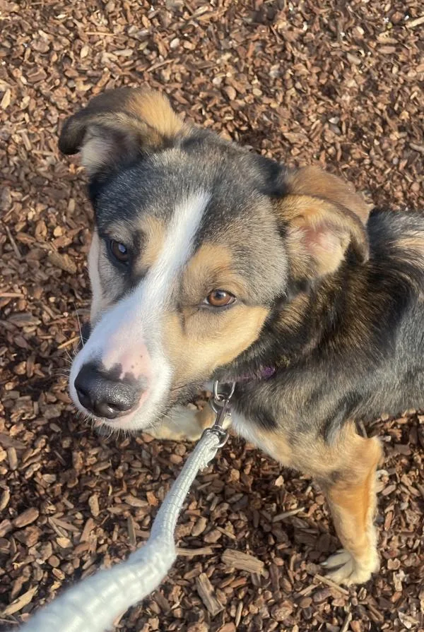 Easterly thumbnail 2