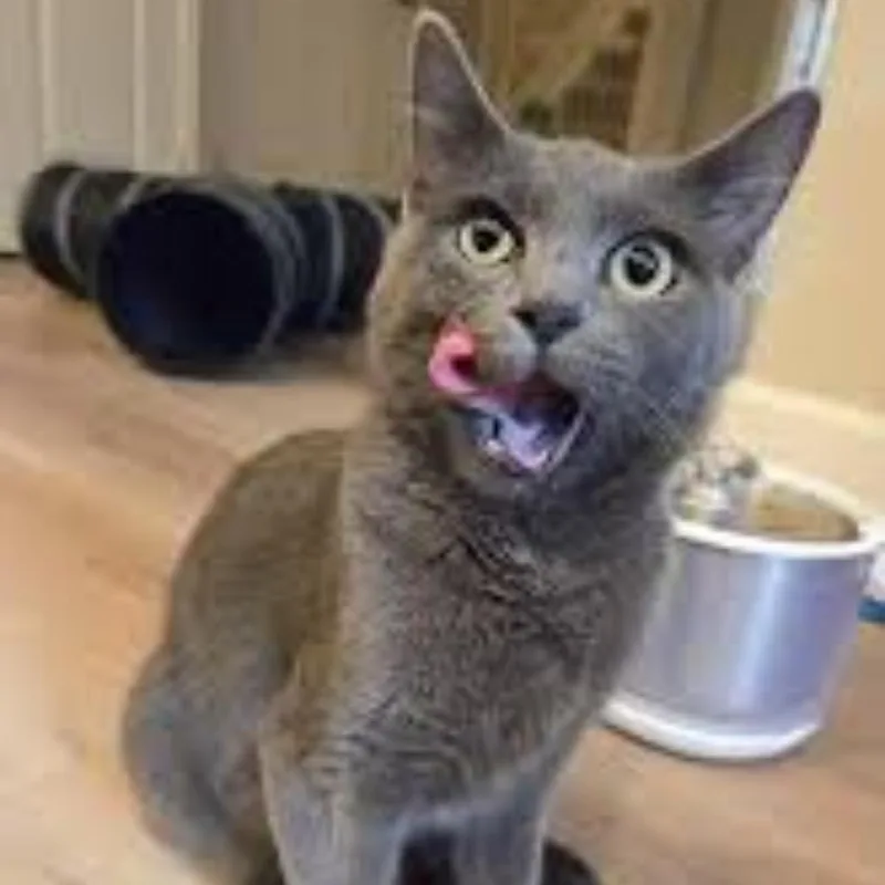 Jessica Rabbit thumbnail 5