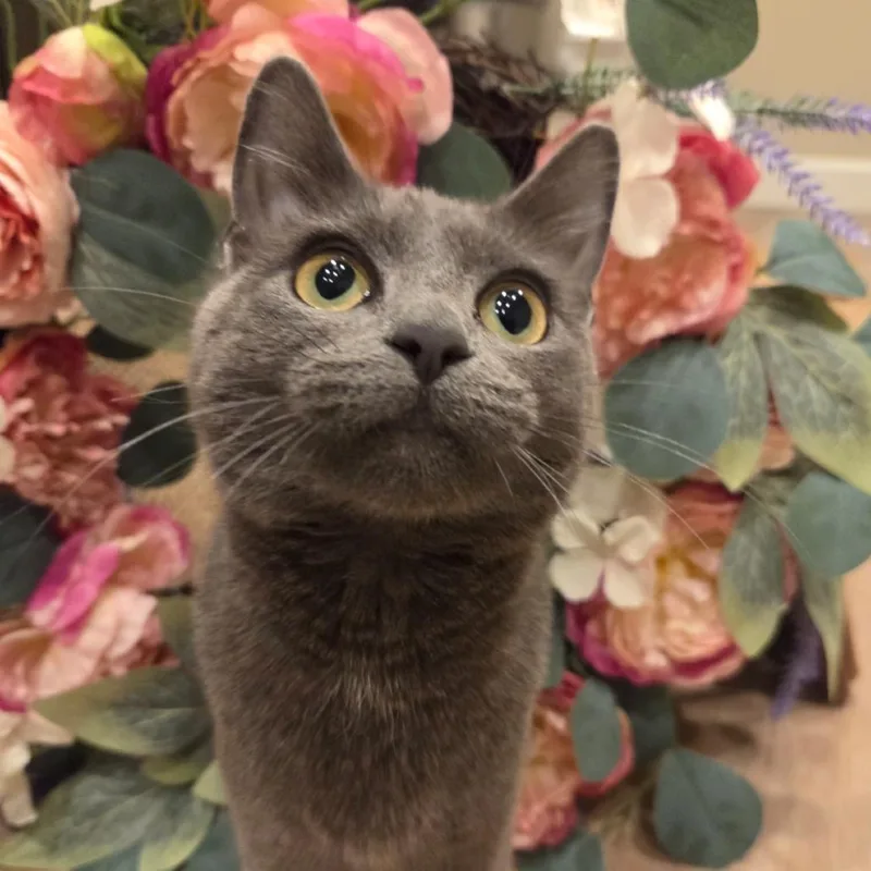 Jessica Rabbit thumbnail 6