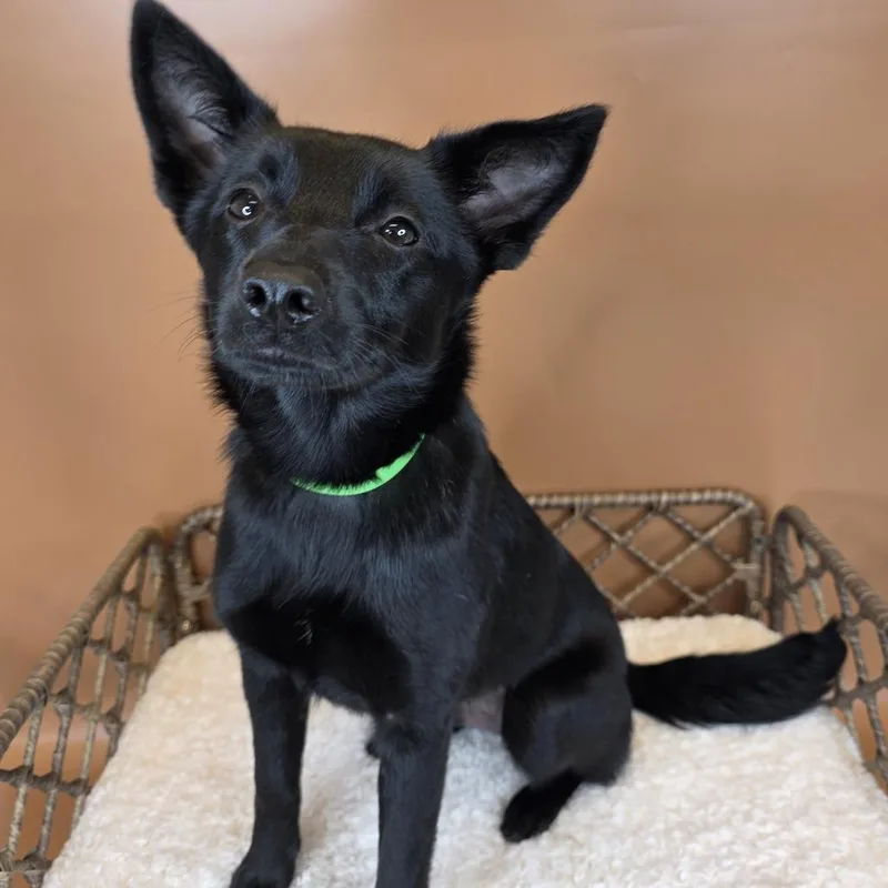 Columbia thumbnail 2