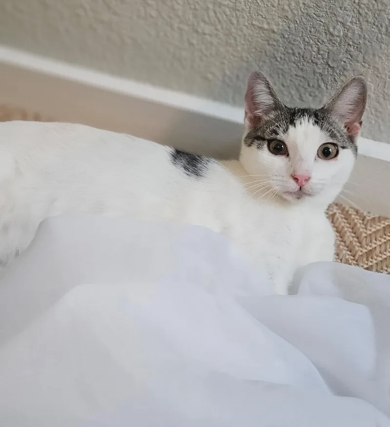 Maggie thumbnail 2