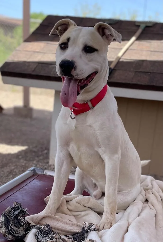 Hercules thumbnail 2