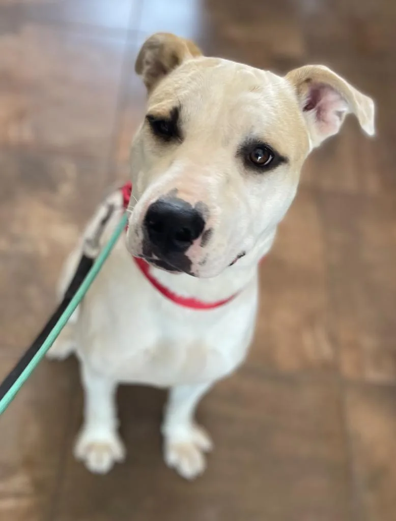 Hercules thumbnail 3