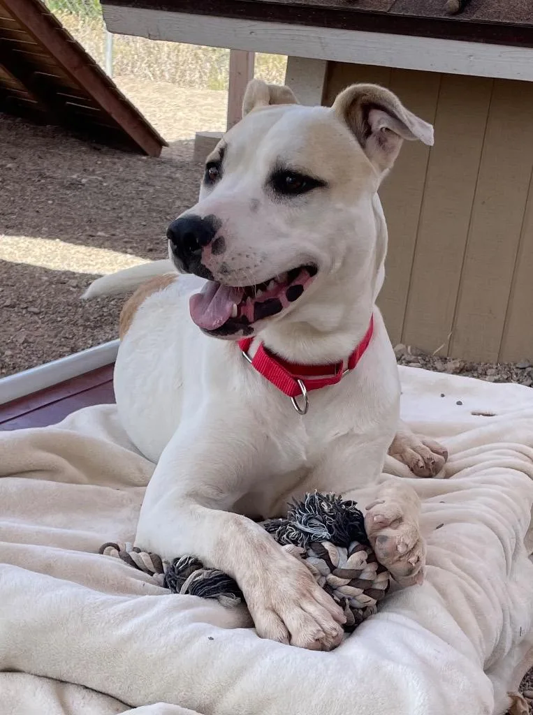 Hercules thumbnail 4