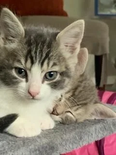 Bootsie thumbnail 2