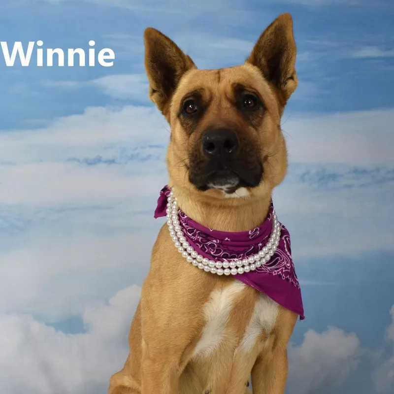 Winnie thumbnail 2