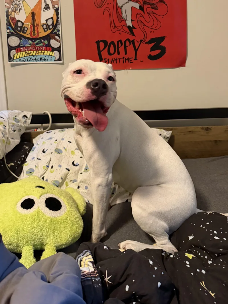 Maggie thumbnail 5