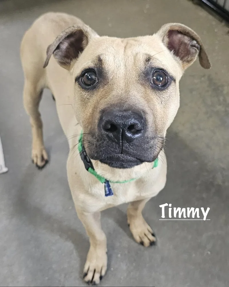 Timmy thumbnail 3