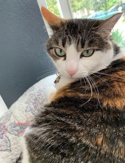 Mary Jane thumbnail 2