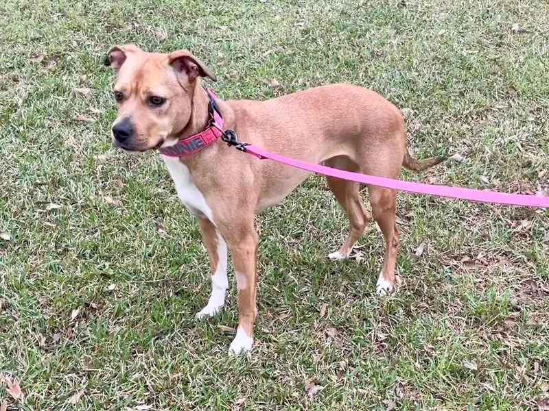 Annie In Texarkana Tx thumbnail 2