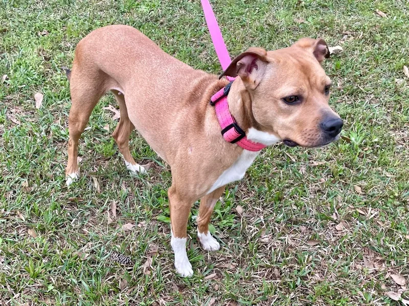 Annie In Texarkana Tx thumbnail 3