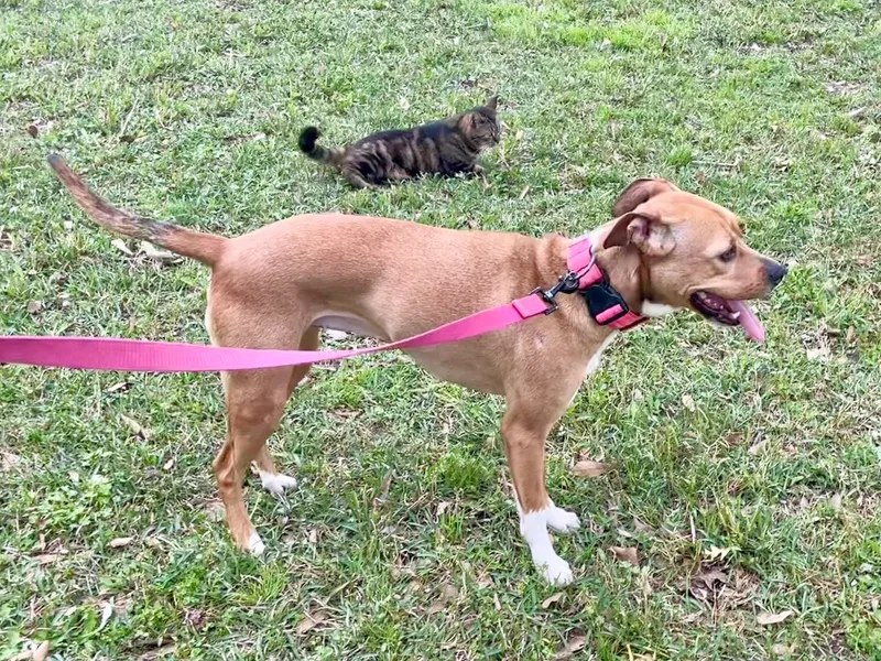 Annie In Texarkana Tx thumbnail 4