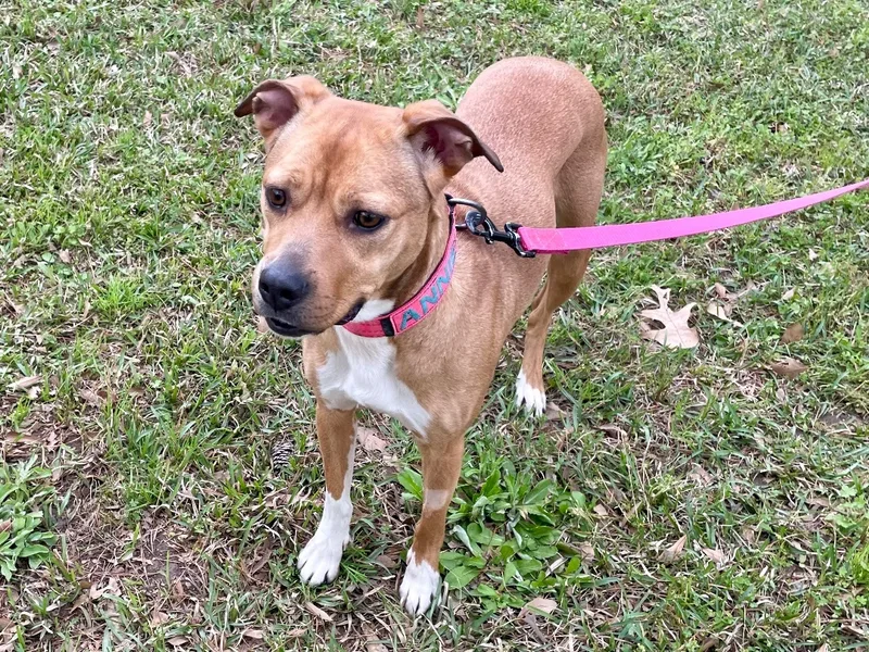 Annie In Texarkana Tx thumbnail 5