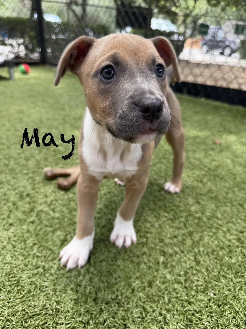 May