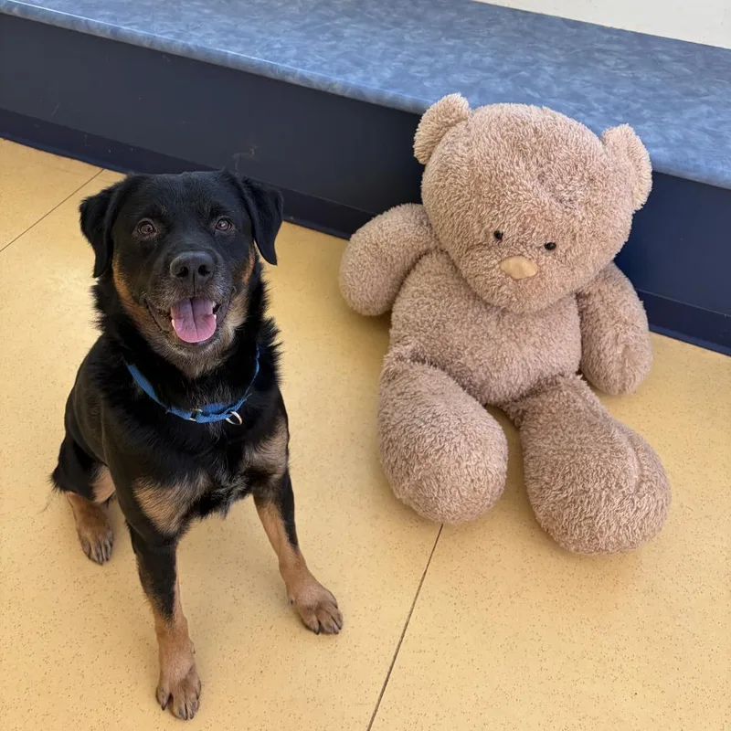 Praytell thumbnail 2