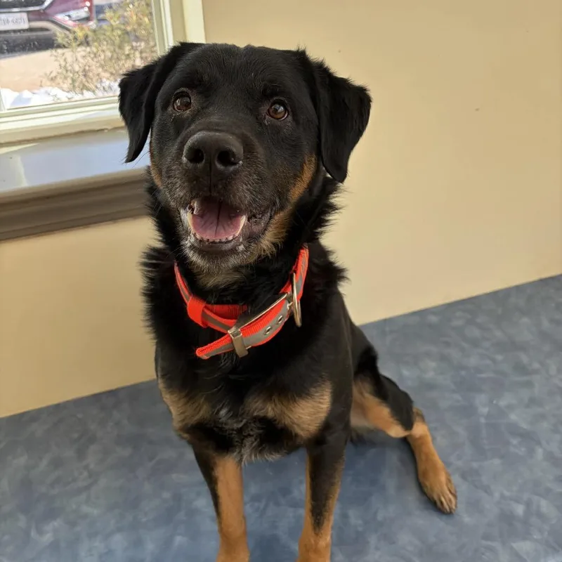 Praytell thumbnail 5