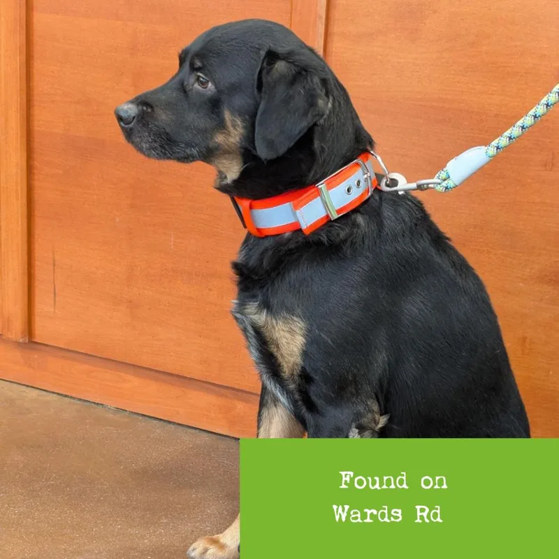 Praytell thumbnail 6